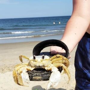 Meet your Posher, Gina